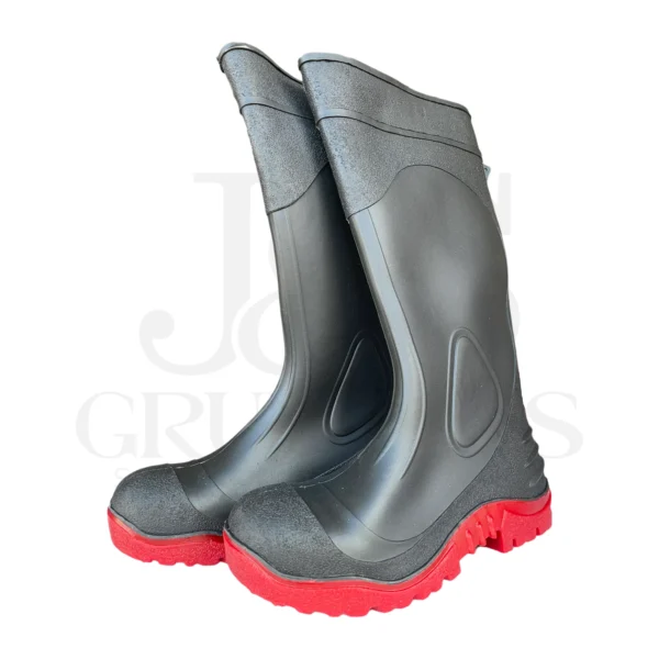 BOTAS DE HULE