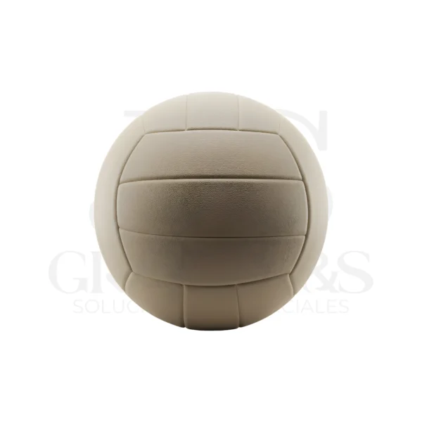 BALONES DE VOLEIBOL